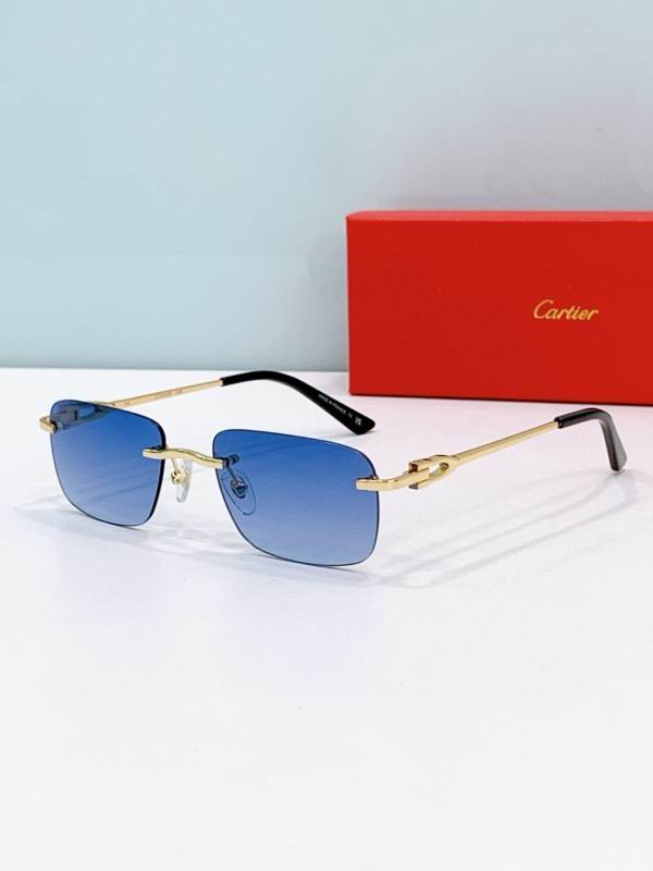 Cartier Glasses 08smh272 (3) 3181354