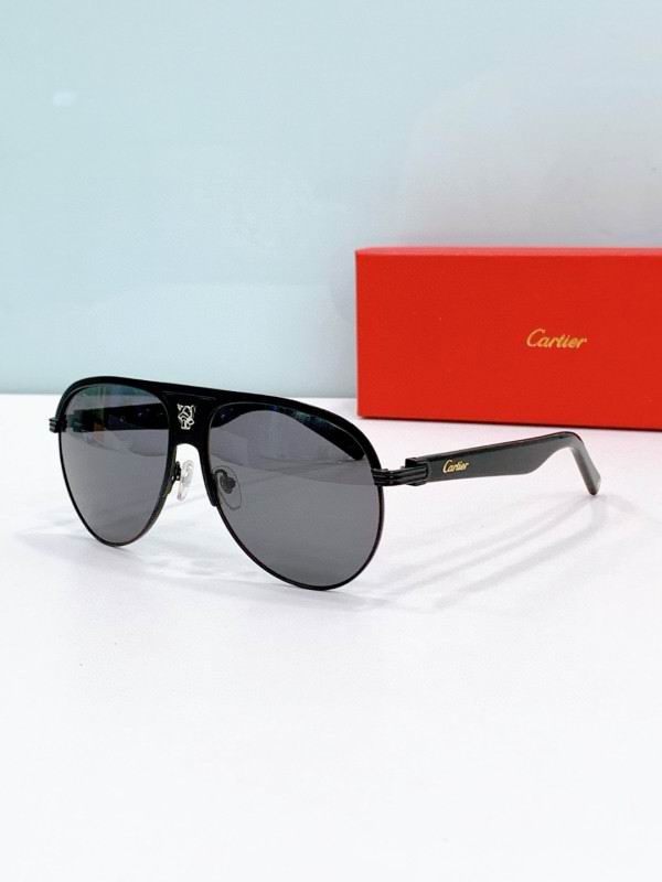 Cartier Glasses 08smh279 (3) 3181432