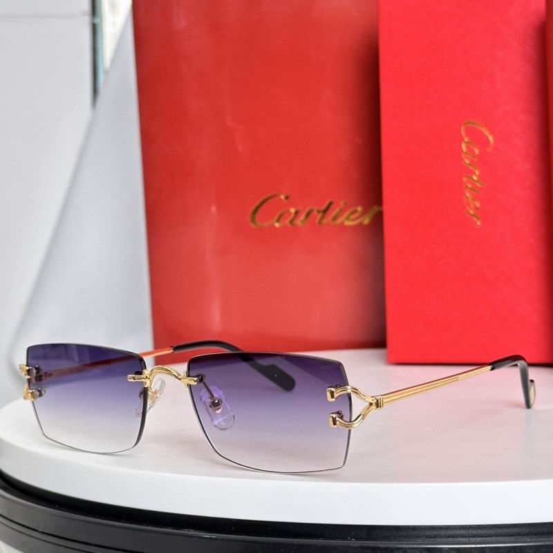 Cartier Glasses 08smh281 (6) 3181454