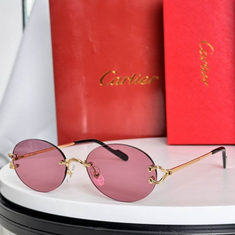 Cartier Glasses 08smh282 (1) 3181473