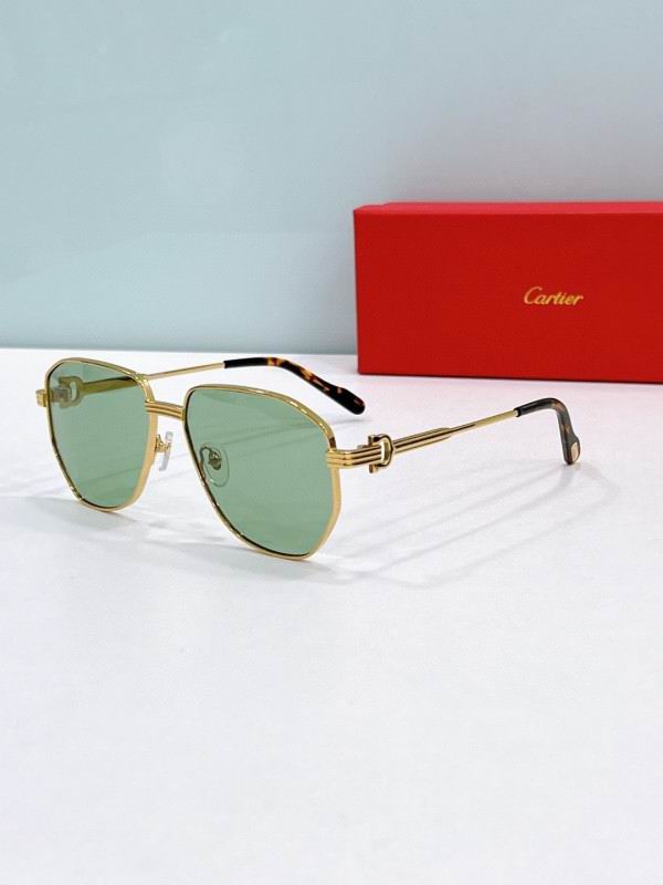 Cartier Glasses 08smh285 (5) 3181508