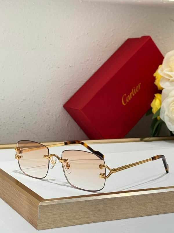 Cartier Glasses 08smh286 (3) 3181523