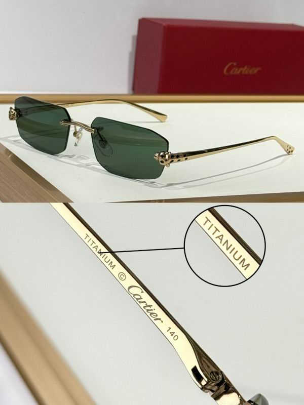 Cartier Glasses 08smh287 (6) 3181532