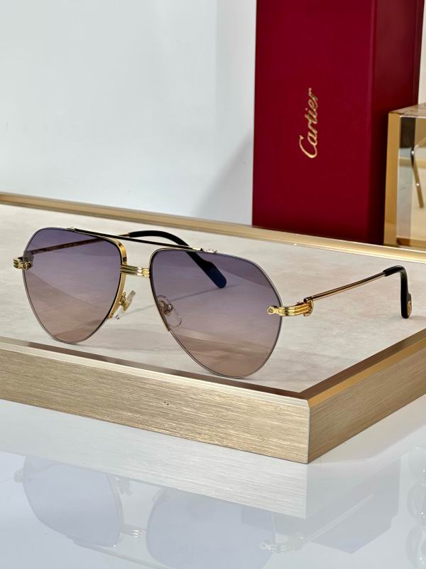 Cartier Glasses 08smh294 (5) 3181707