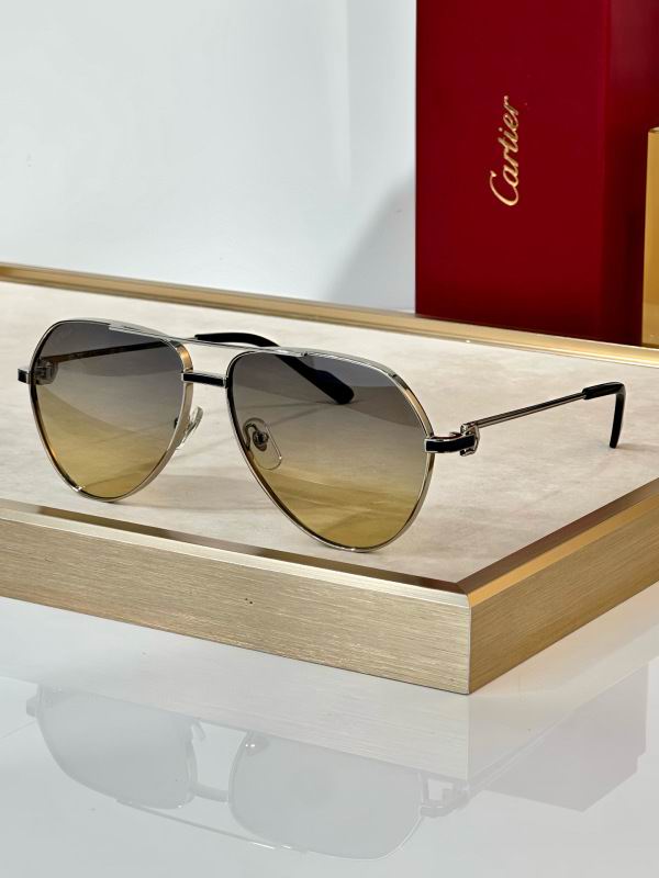 Cartier Glasses 08smh295 (8) 3181713