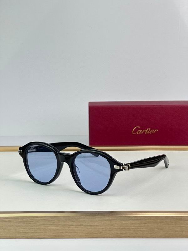 Cartier Glasses 08smh296 (2) 3181729