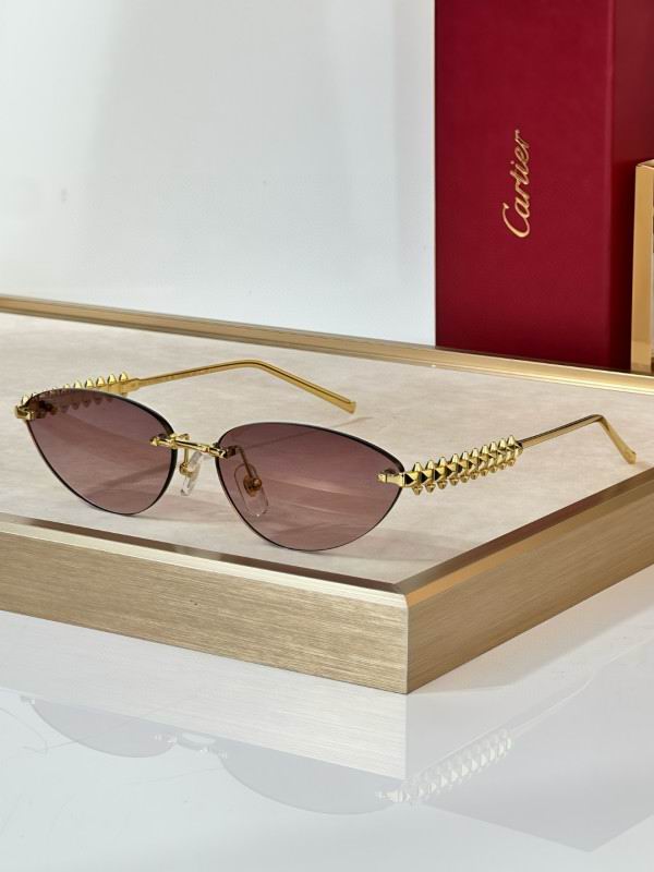 Cartier Glasses 08smh297 (4) 3181742