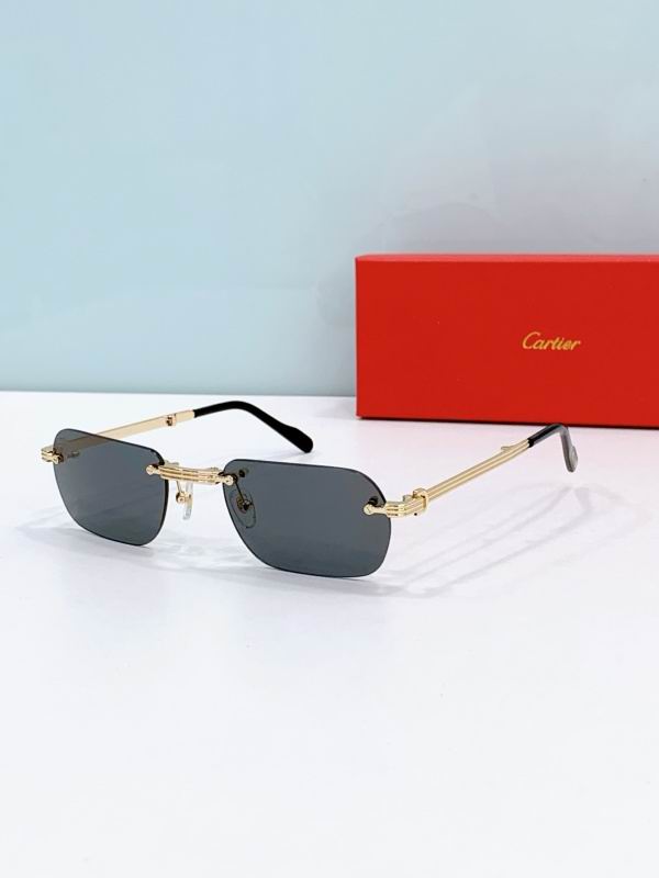 Cartier Glasses 08smh300 (5) 3181794 Cartier Glasses 08smh300 (5) 3181794
