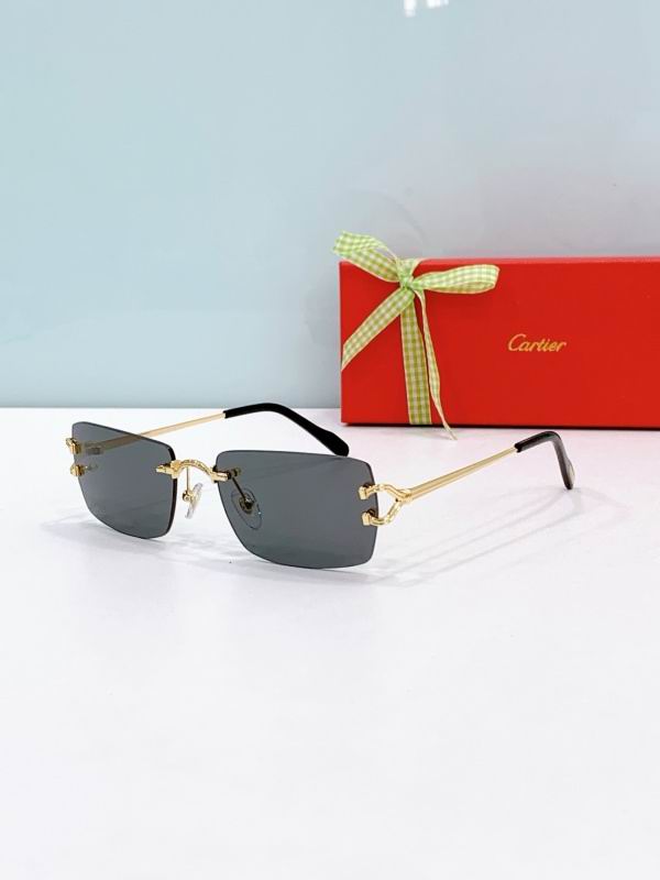 Cartier Glasses 08smh302 (1) 3181833
