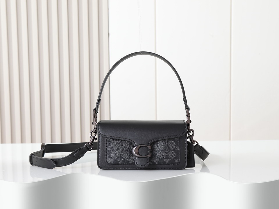 Coach 73995 20x10x6cm ss131 2008749 Coach 73995 20x10x6cm ss131 2008749