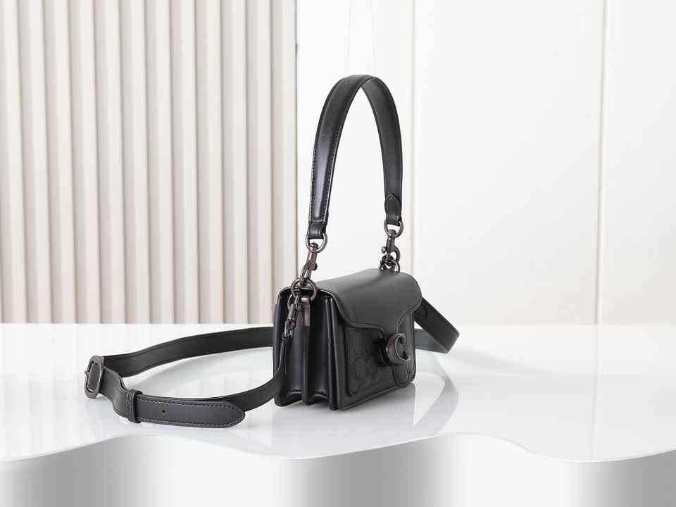 Coach 73995 20x10x6cm ss133 2008747 Coach 73995 20x10x6cm ss133 2008747